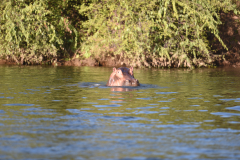 DSC_1893