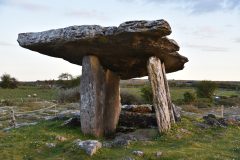 8-Irlanda