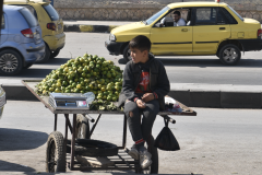 Schermata-2023-11-03-alle-10.18.58